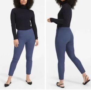 Everlane Bi-Stretch Side Zip Dress Pants in Blue